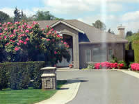 Click for larger picture